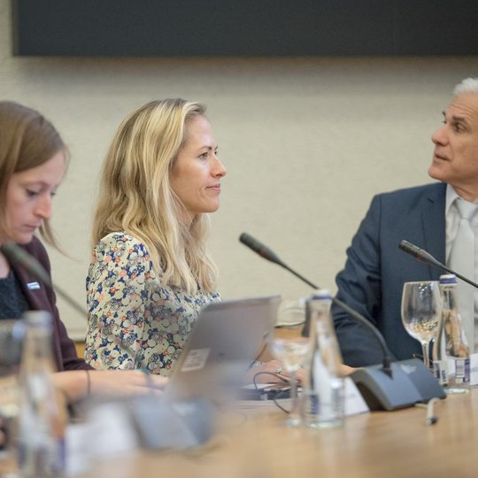 Iliustracija