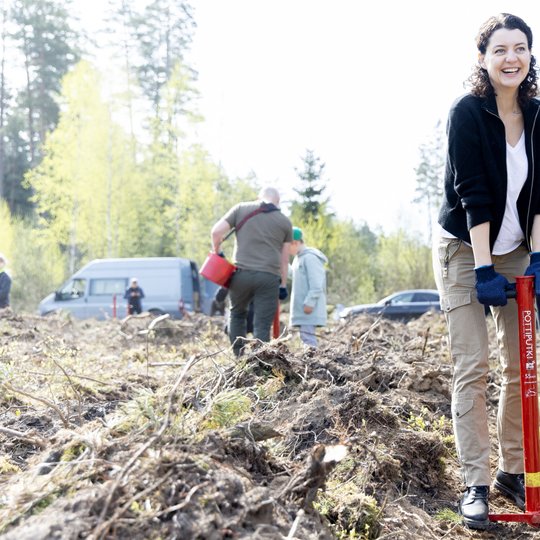 Iliustracija