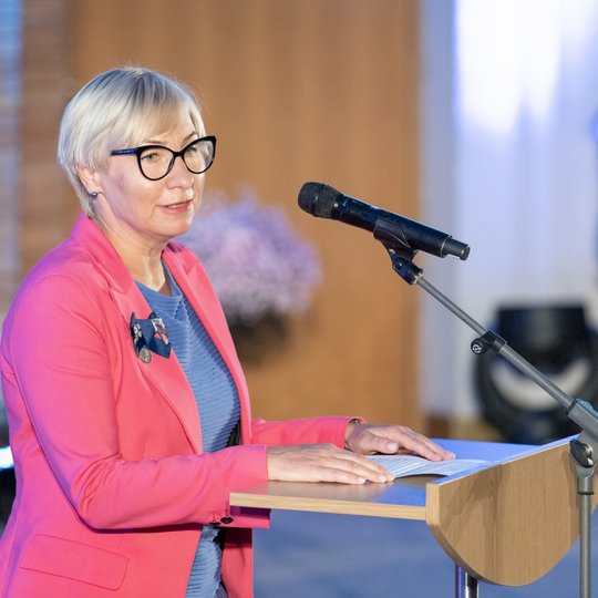 Iliustracija
