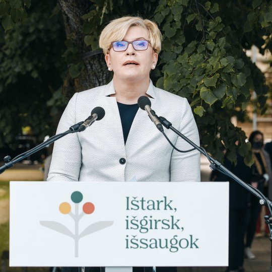 Iliustracija