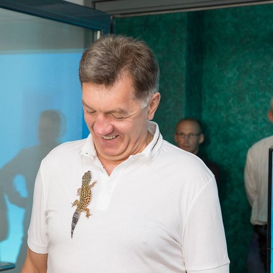Iliustracija