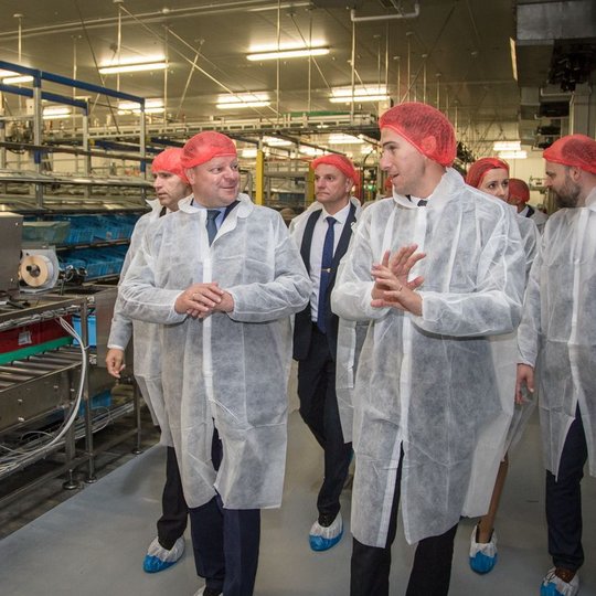 Iliustracija