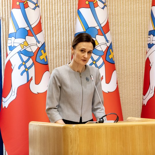 Iliustracija