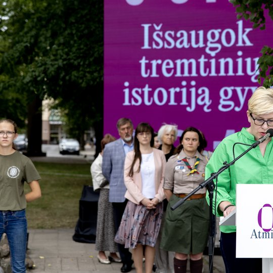 Iliustracija