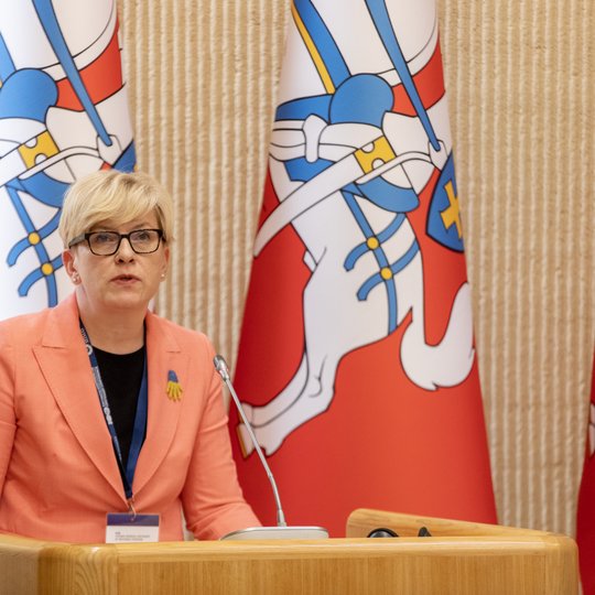 Iliustracija