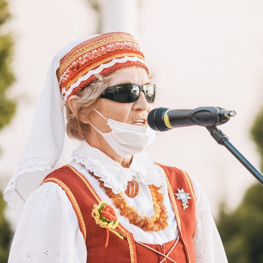Iliustracija