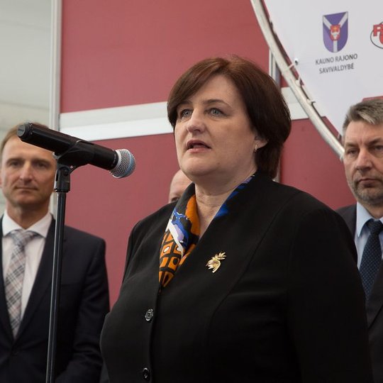 Iliustracija