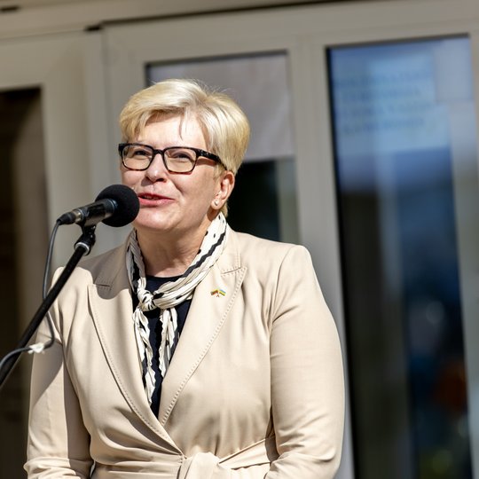 Iliustracija