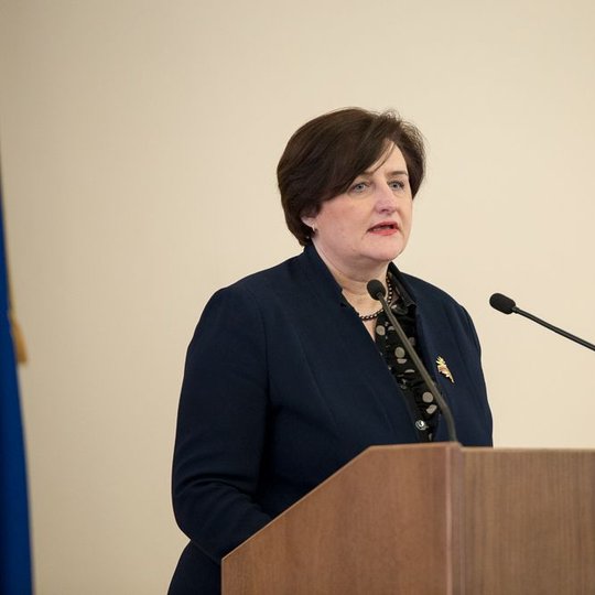 Iliustracija