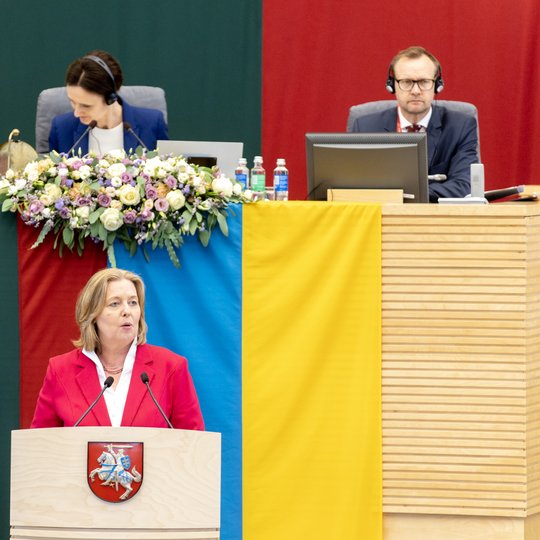 Iliustracija