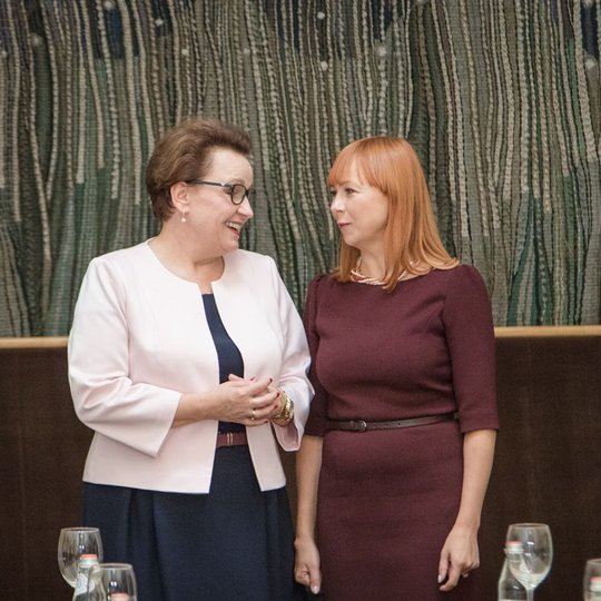 Iliustracija