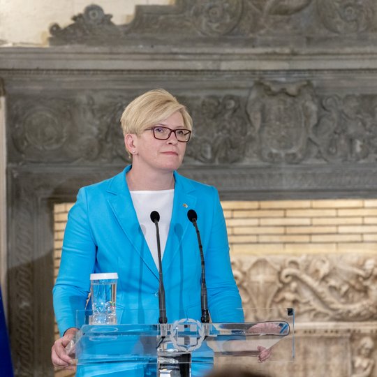 Iliustracija