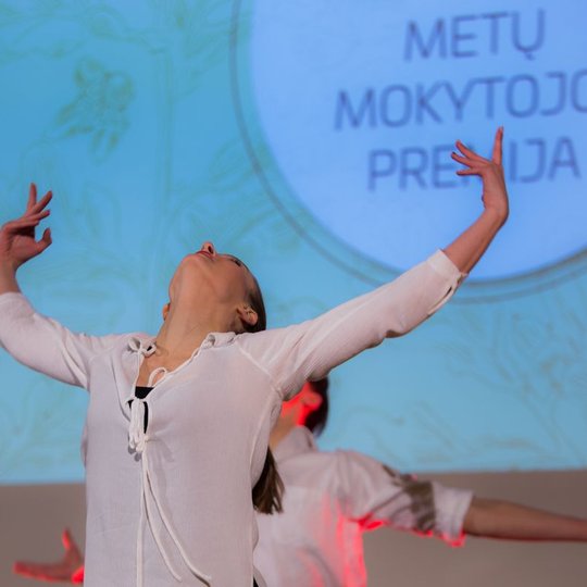 Iliustracija