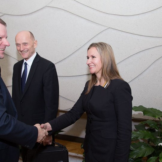 Iliustracija