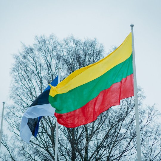 Iliustracija