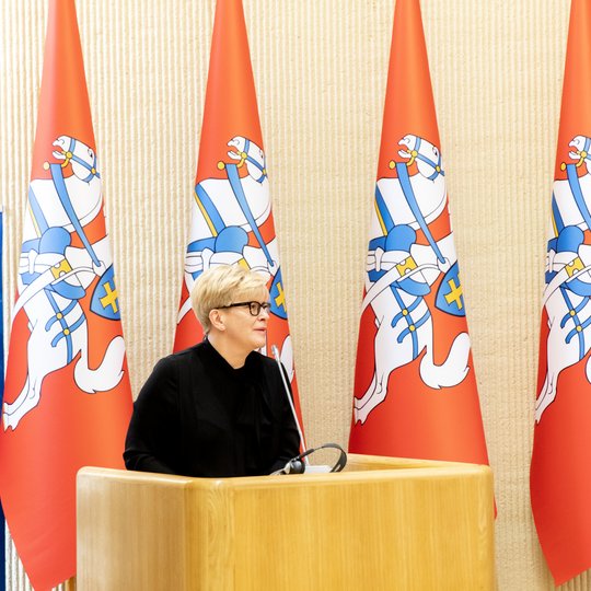 Iliustracija