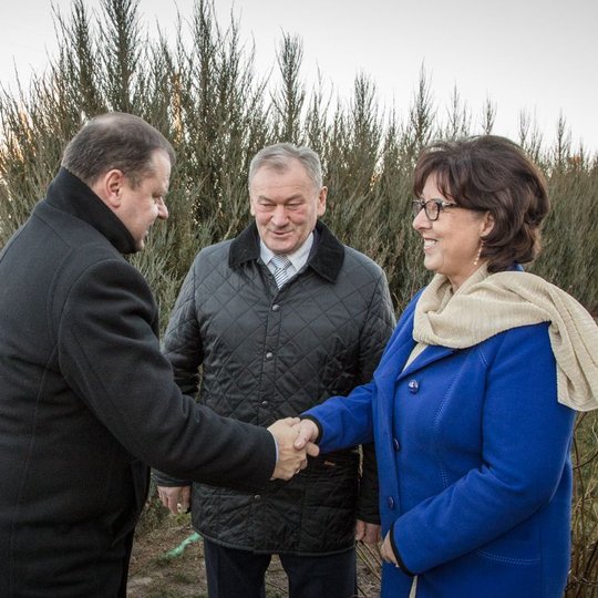 Iliustracija