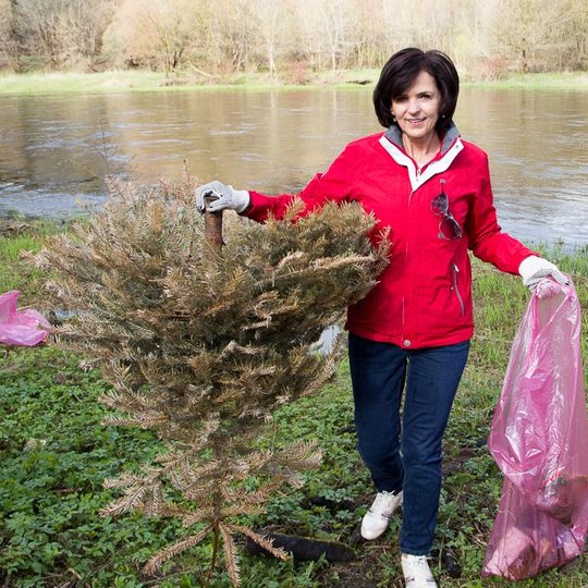 Iliustracija