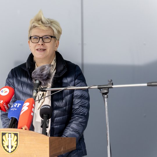Iliustracija