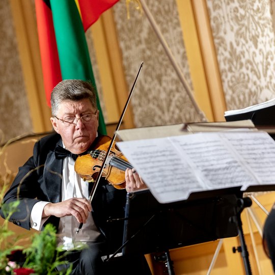 Iliustracija