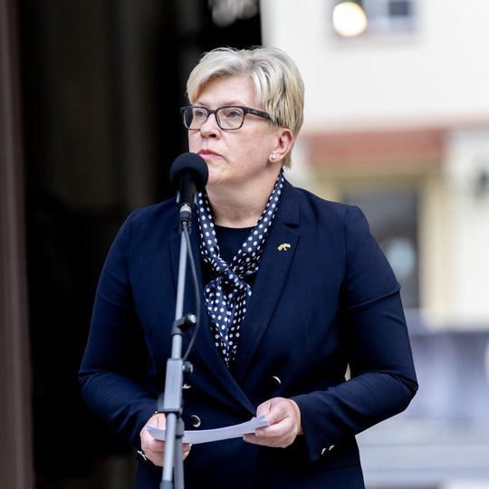 Iliustracija