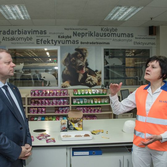 Iliustracija