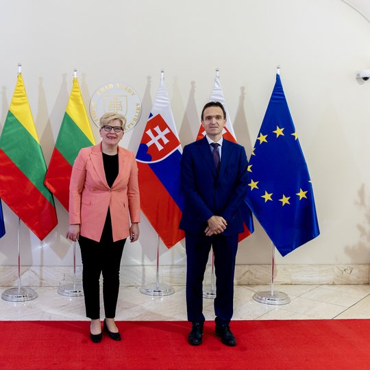 Iliustracija