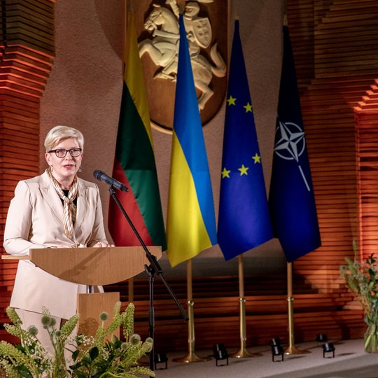 Iliustracija