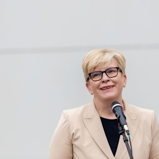 Iliustracija