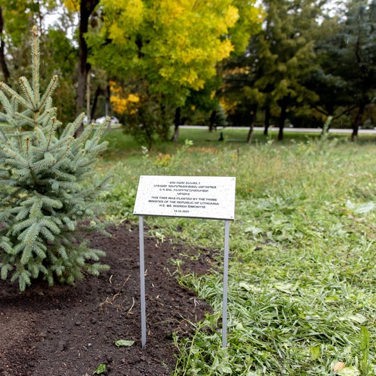 Iliustracija