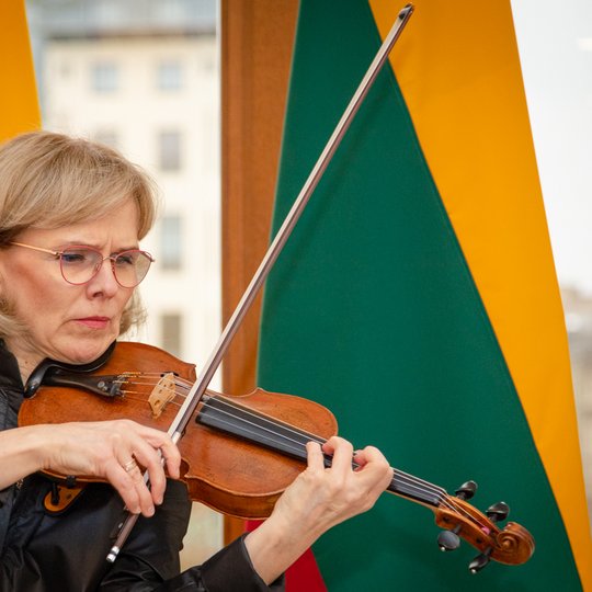 Iliustracija