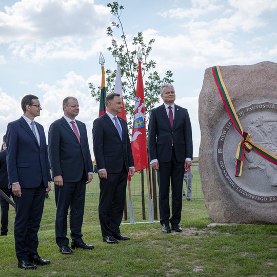 Iliustracija