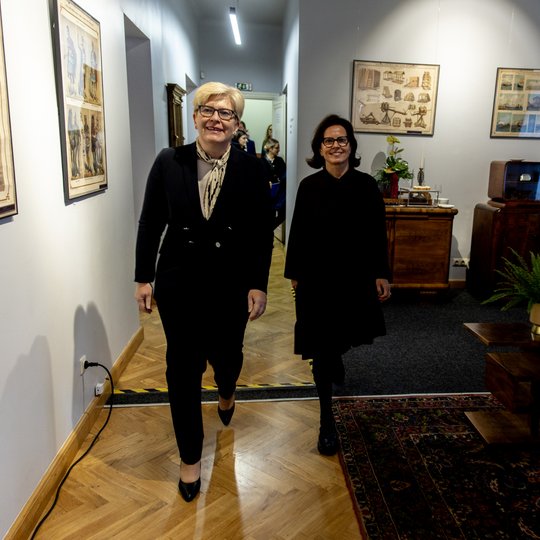 Iliustracija