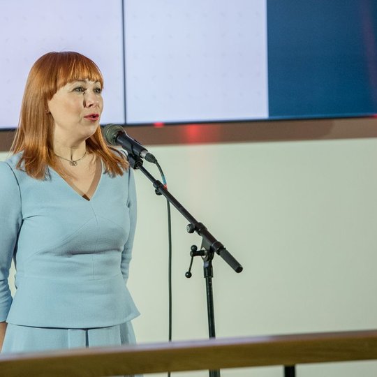 Iliustracija