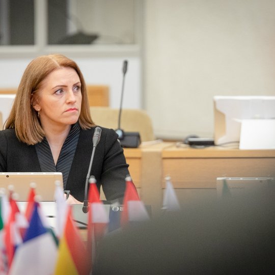 Iliustracija