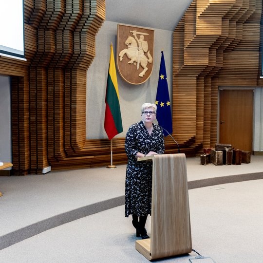Iliustracija