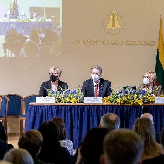 Iliustracija