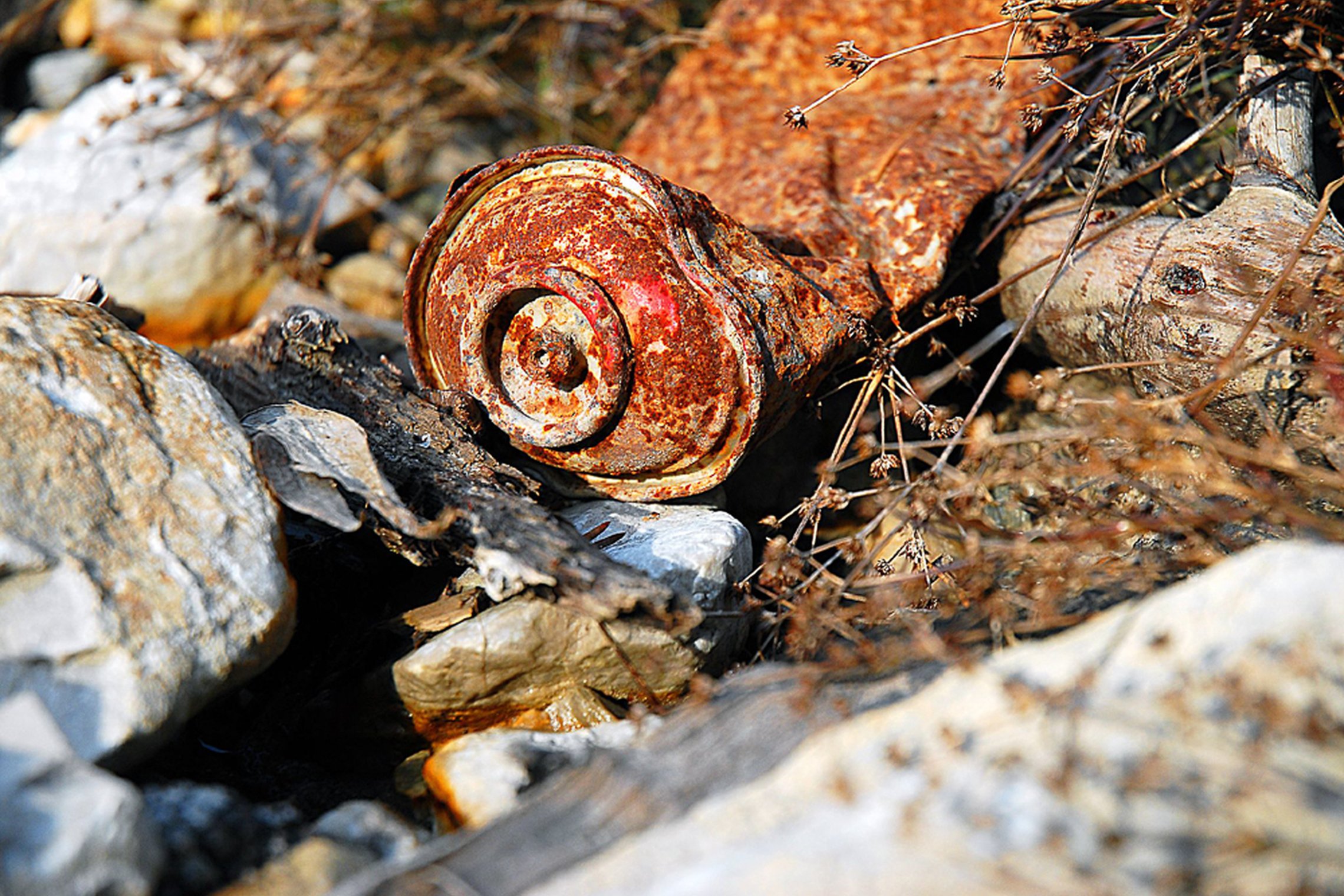 Iliustracija