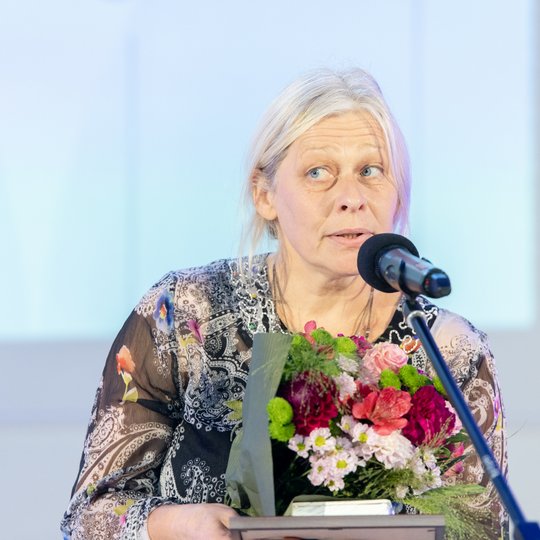 Iliustracija