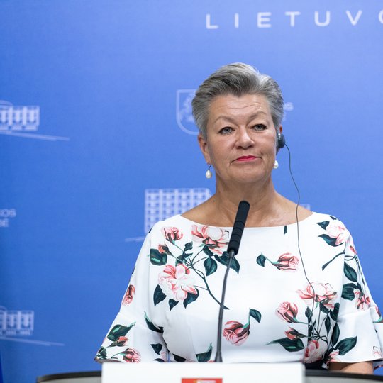Iliustracija