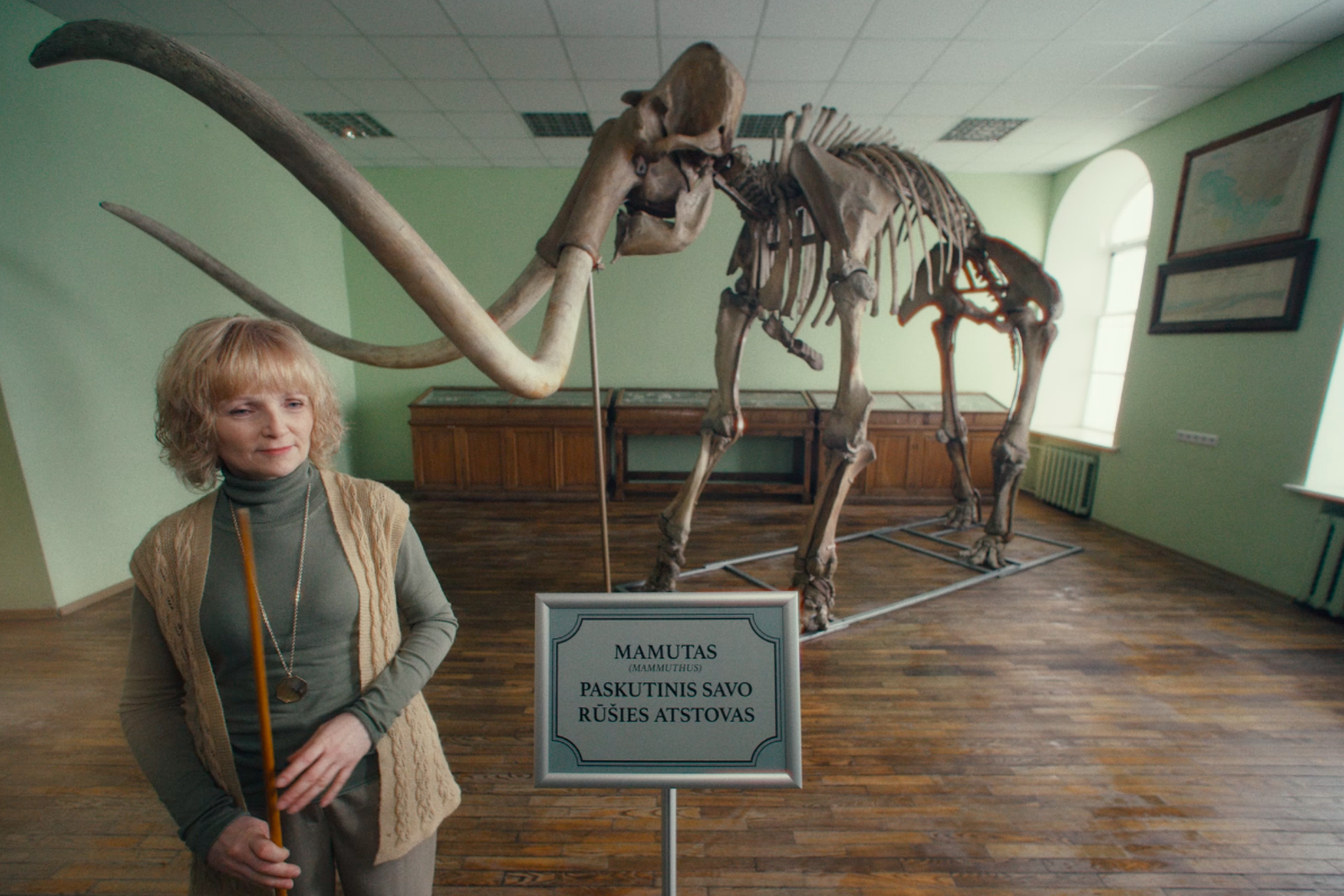 Iliustracija