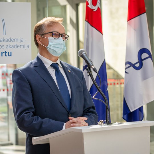 Iliustracija