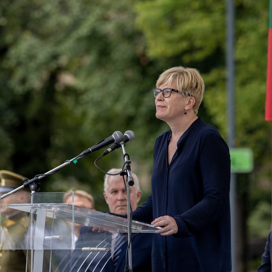 Iliustracija