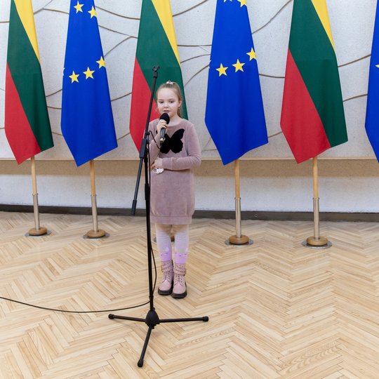 Iliustracija