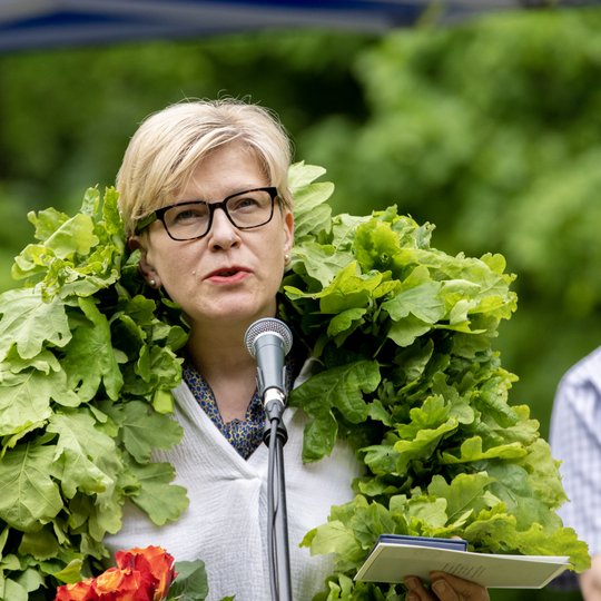 Iliustracija