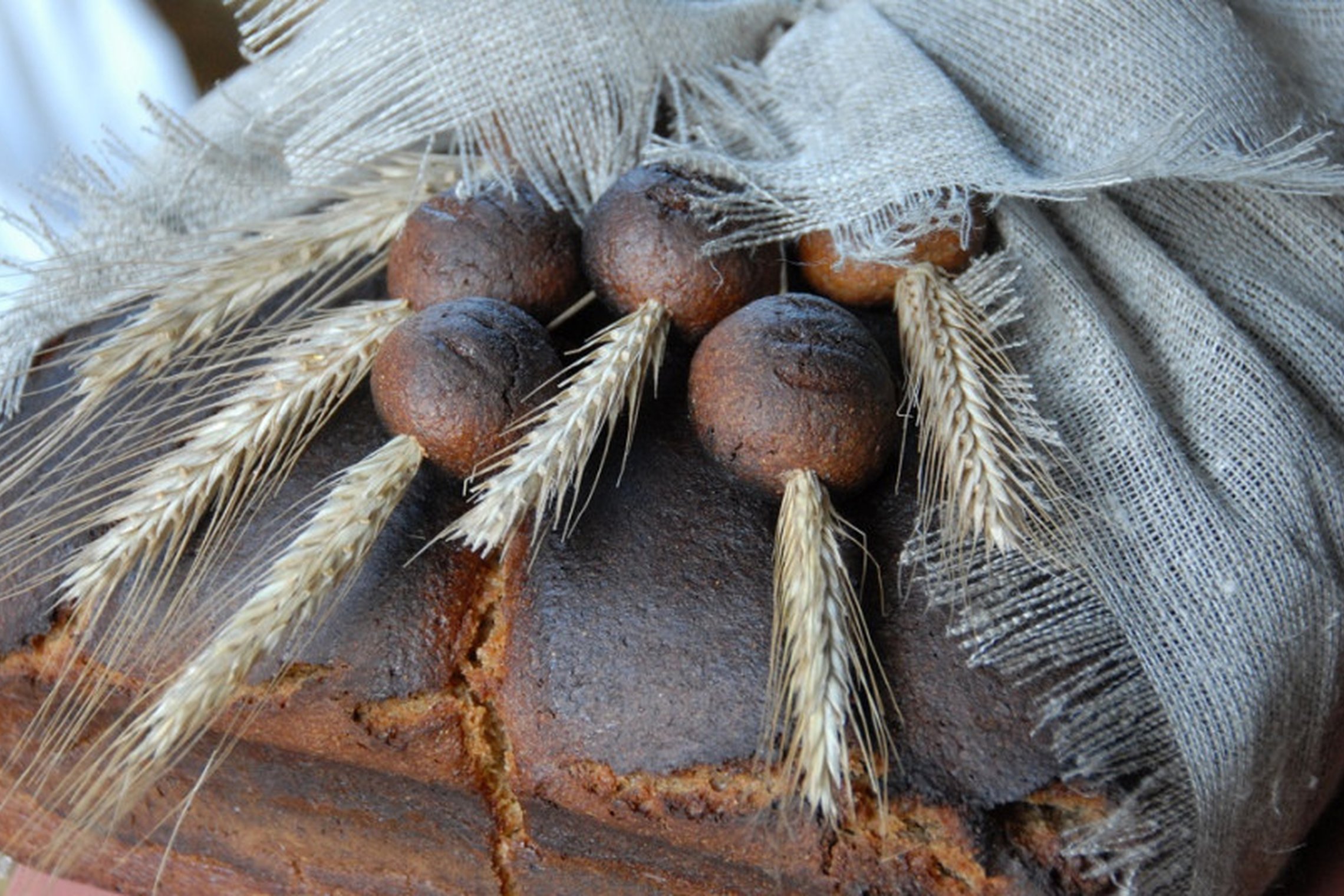 Iliustracija