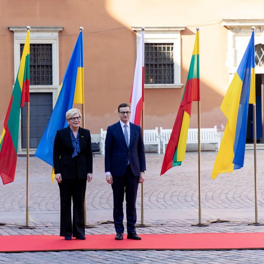 Iliustracija